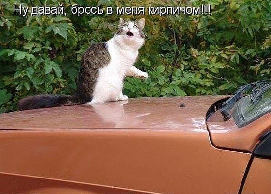 Если хочешь узнать человека получше — забухай с ним. Лишь когда мы бухие — мы настоящие. Всё ...