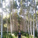 ���� �������, ����-�����������, 50 ��� - ��������� 15 ������� 2016