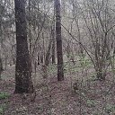 ���� ����, �����, 37 ��� - ��������� 1 ��� 2016 � ������ ���� ����������