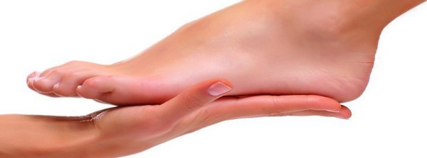 10    ,   . 1.        ...