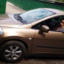 ���� �����, ������, 64 ���� - ��������� 10 ��� 2016 � ������ ���� ����������