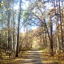 ���� Lina, ������ - ��������� 21 ��� 2016 � ������ ������ �������