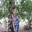 2016�. �� ������� ���� ���� ������