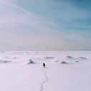  ,  -  4  2016    