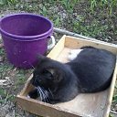 ���� ��������, ��������, 60 ��� - ��������� 15 ��� 2016 � ������ ���� ����������