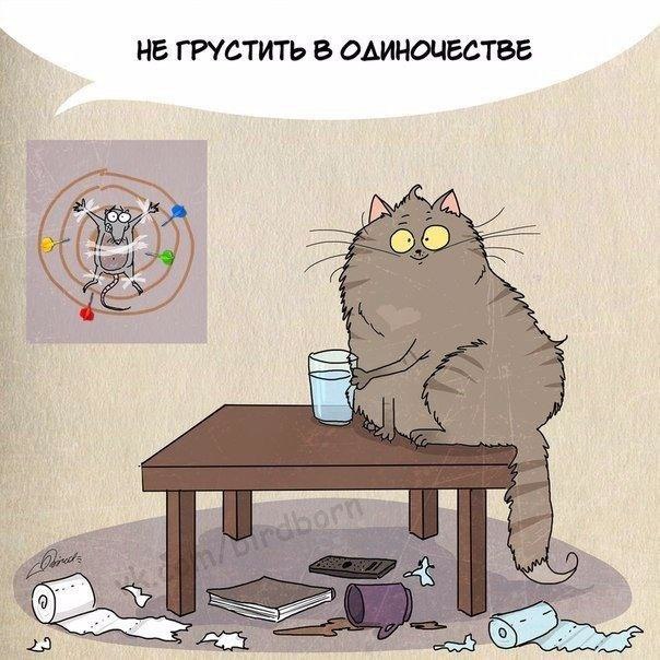 *.     ,    ... - 9