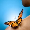 ���� ����, ���������, 63 ���� - ��������� 2 ���� 2016 � ������ ������ ��������