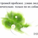 ���� ����, ������, 43 ���� - ��������� 19 ������� 2016 � ������ ������ ��������