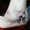 ���� Liana, �����������, 45 ��� - ��������� 14 ��� 2016 � ������ ����� (�������� � 2006 ����.)�