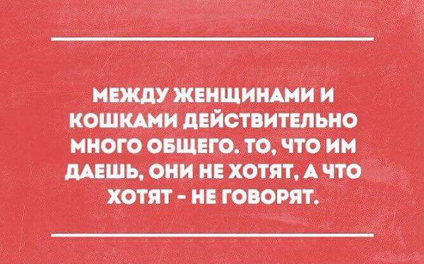   - 10  2016  00:55