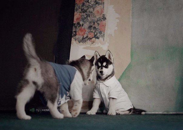 ,    .      ,   , ... - 5