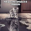 ���� ������, ���, 57 ��� - ��������� 20 ����� 2016 � ������ ������ ��������