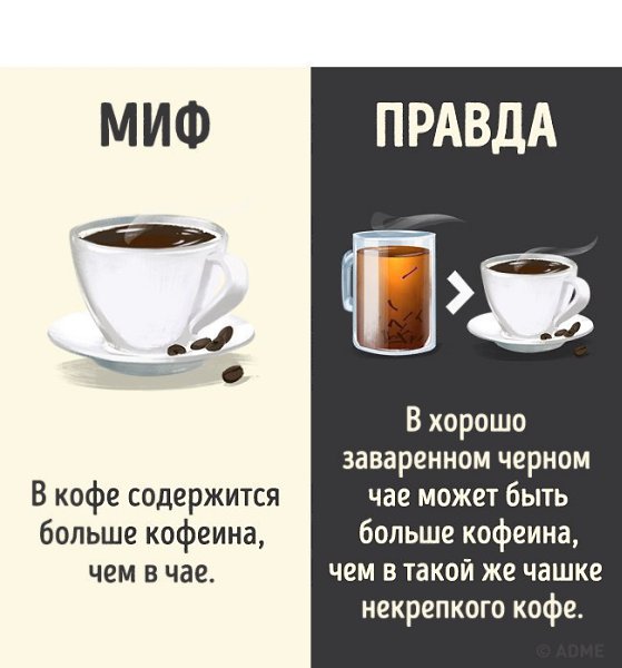 Забери себе и расскажи друзьям про.10 мифов о популярных напитках, которые теперь можно смело забыть - 4
