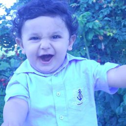 ���� ������, ������, 51 ��� - ��������� 26 ����� 2016