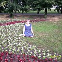 ���� ������, ����� - ��������� 26 ���� 2016 � ������ ���� ����������