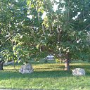 �������� �� ������� �����