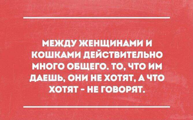   - 10  2016  00:55