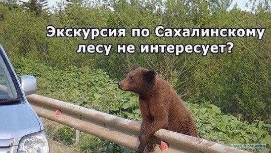 ***Victoria Viktorovna*** - 23  2016  01:47