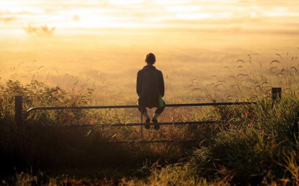     ?       ,  ,      ...