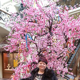 ���� �����, �����������, 57 ��� - ��������� 30 ����� 2016