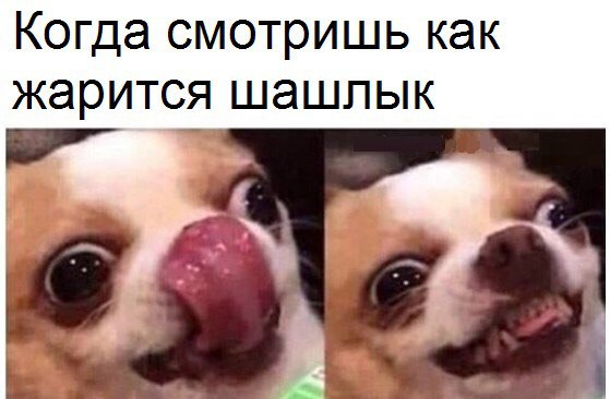  - 26  2016  16:59