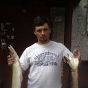 ���� ����������, ���� - ��������� 10 �������� 2016 � ������ ���� ����������