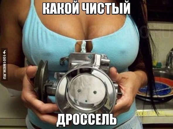 ���� ������ ����� - 13 ��� 2016 � 14:44