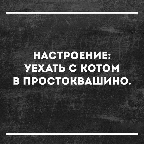   - 5  2016  13:55