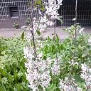 ���� �������, ������� - ��������� 28 ��� 2016 � ������ ���� ����������