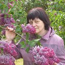 ���� �������, ����� - ��������� 31 ��� 2016 � ������ ��������� 2016�