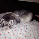 ���� ����, ������� - ��������� 5 ���� 2016 � ������ �������� �������� �... ��� �����