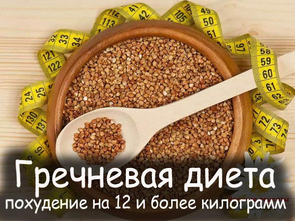 Гречневая диета хороша тем, что в гречке высокое содержание кальция, калия, магния и железа, а ...