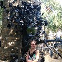 ���� �������� ��������, ������, 44 ���� - ��������� 3 �������� 2016 � ������ ���� ����������