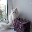 ���� Galina, ������� - ��������� 8 ���� 2016 � ������ ���� ����������