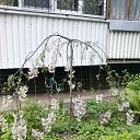 ���� �������, ������� - ��������� 28 ��� 2016 � ������ ���� ����������