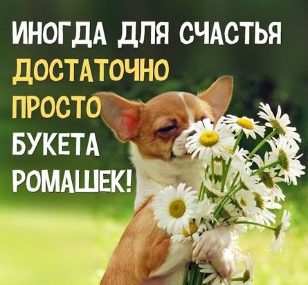 ***Victoria Viktorovna*** - 14  2016  13:07