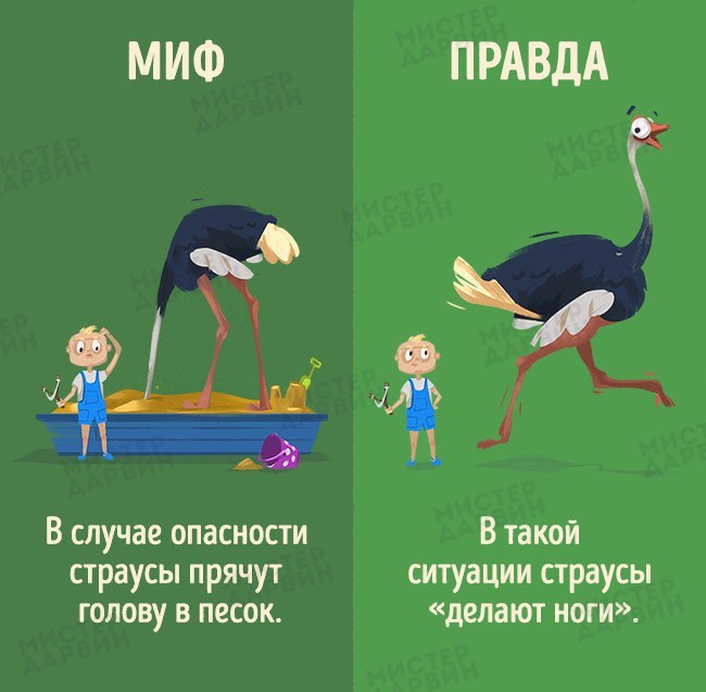 10   ,       . - 3