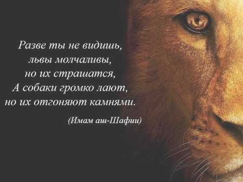  - 24  2016  20:47 - 6