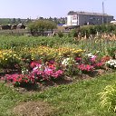 ���� ������, �����, 55 ��� - ��������� 6 ������� 2016 � ������ ���� ����������