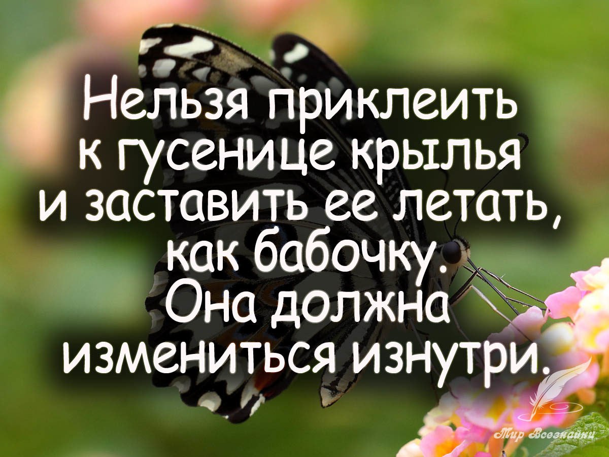        ,      - <a href=