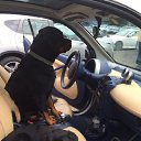 ���� �������, �����-���������, 56 ��� - ��������� 20 ���� 2016