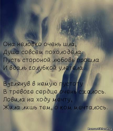    - 11  2016  12:37