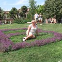 ��������� �� ������� ���� ����������