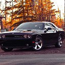 ���� ����, ������, 41 ��� - ��������� 6 �������� 2016