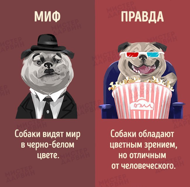 10   ,       .
