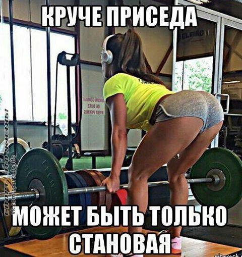  -   - 23  2016  16:48