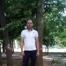 ���� T����, ����������� - ��������� 2 ���� 2016