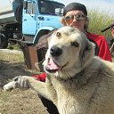 ���� ��������, ������, 77 ��� - ��������� 8 ��� 2016 � ������ ������ ��������