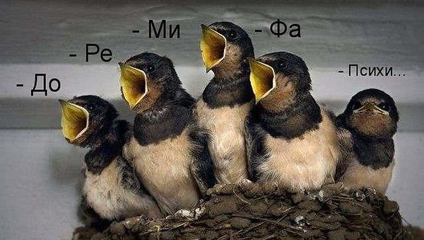 )