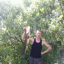 ���� ������, �����-���������, 45 ��� - ��������� 13 ���� 2016